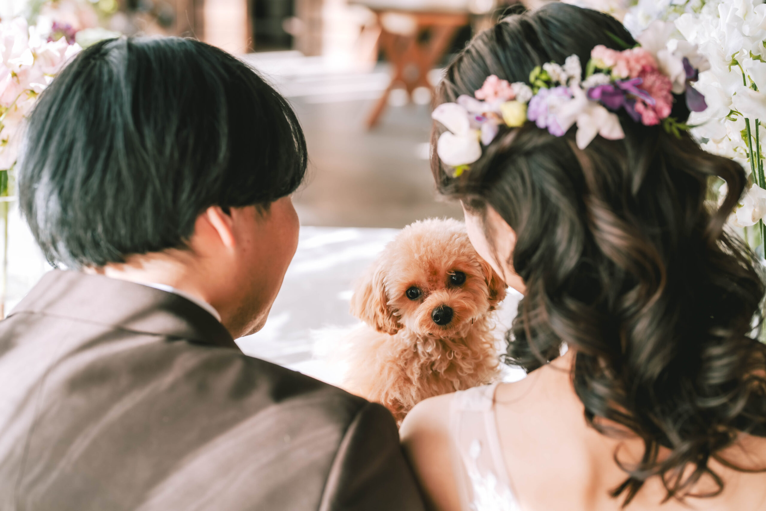 ペットと一緒に撮影!